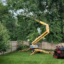 Chewelah, WA Tree Services Company